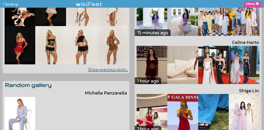 wikiFeet